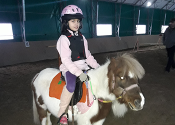 EQUIFUN
