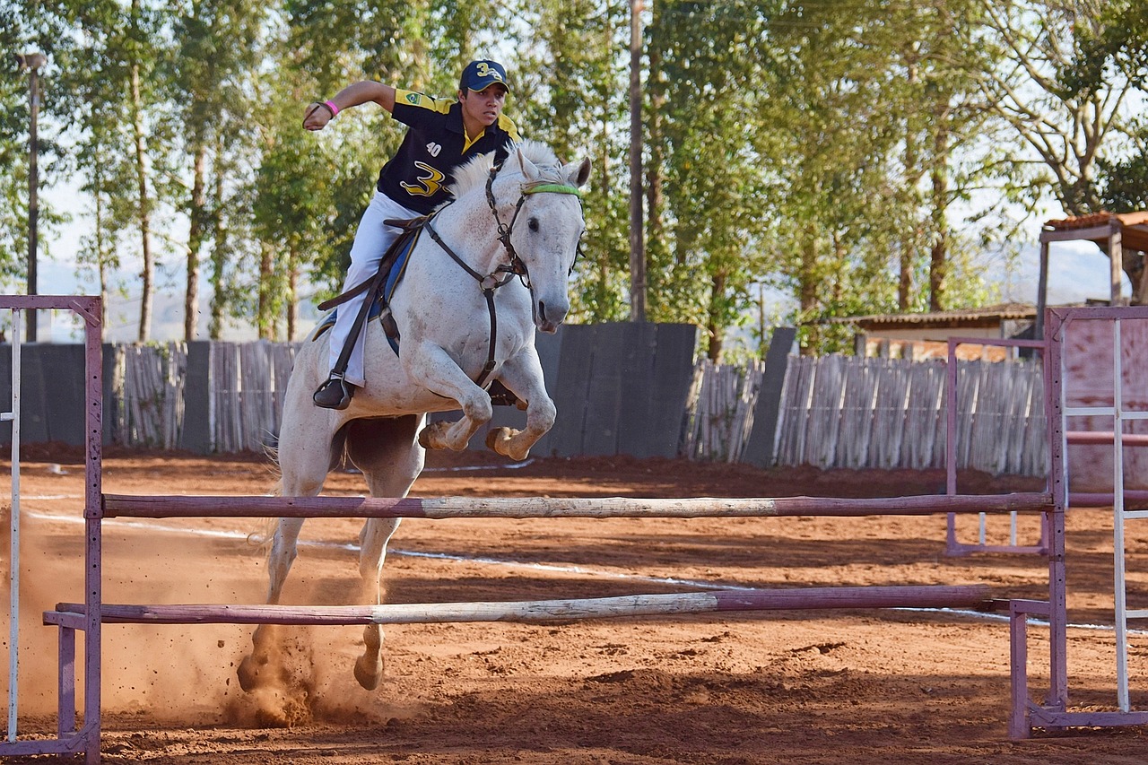 Equifun: At Eğitimi ve Sürüş Teknikleri Hakkında İpuçları