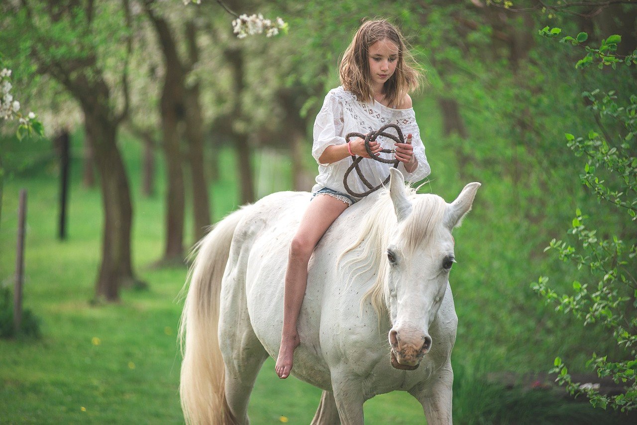 Equifun Eğitimi ve Çocuk Gelişimi