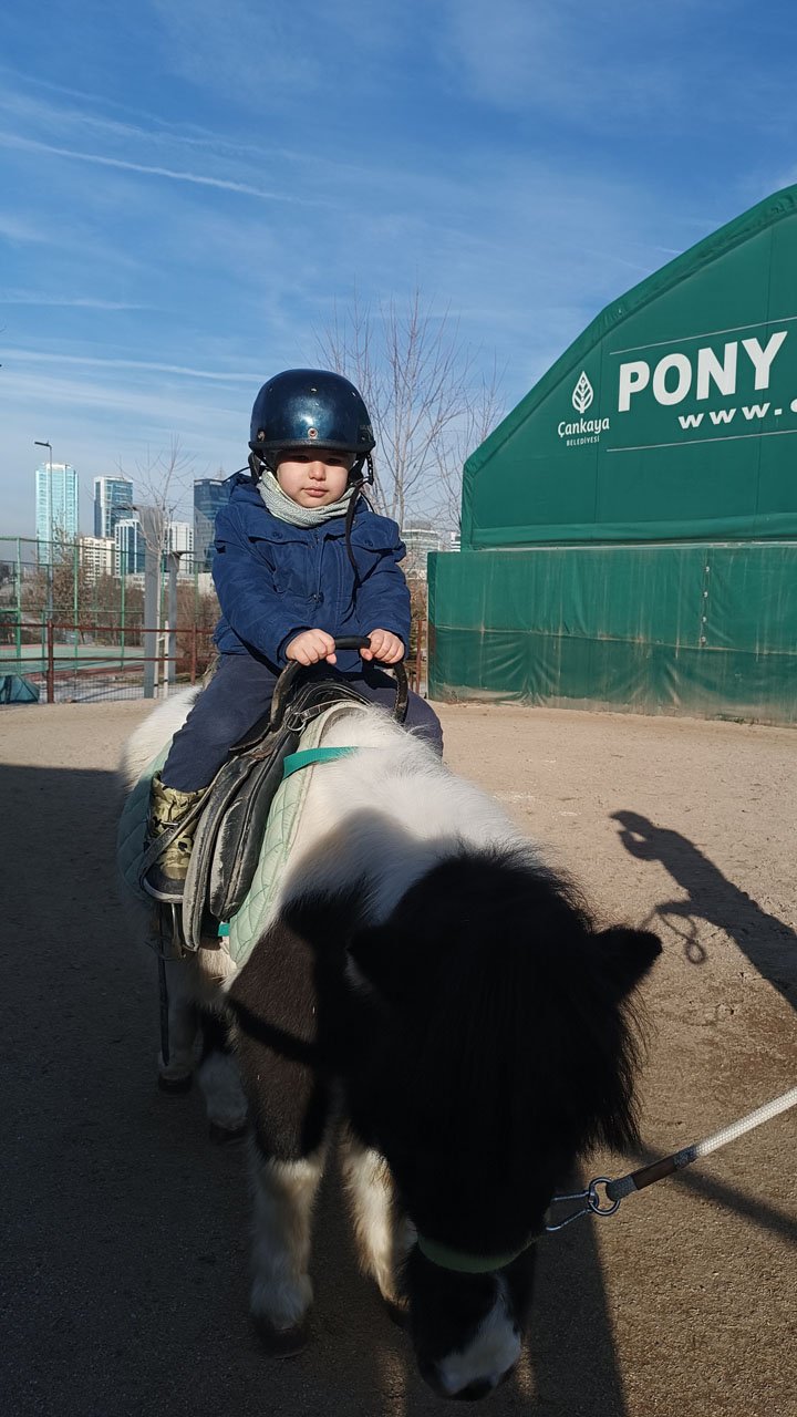 Pony Biniş